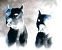 Alpha 2 Dog profile picture