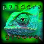 Pandora Groove profile picture