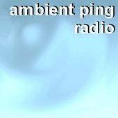 AMBiENT PiNG RADiO profile picture