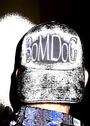 BoMDoG profile picture