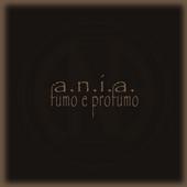 A.N.I.A. profile picture