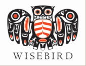 Wisebird profile picture