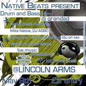 Native Beats profile picture