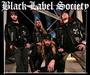 BLS MANCHESTER CHAPTER profile picture