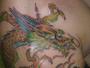 joe coitus of bruisers tattoo 389-TATS profile picture