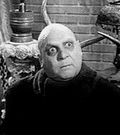 fester profile picture