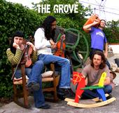 The Grove profile picture