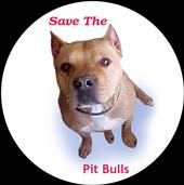 ♥Save the Pit Bulls!!!♥ profile picture