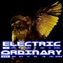 ELECTRIC ORDINARY (NEW ALBUM AVAILABLE NOW!!!) profile picture