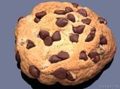 Cookie™ profile picture