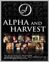 Alpha and Harvest profile picture