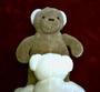 Dirty Bear, The Perverted Teddy Bear profile picture