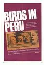 All Birds Die in Peru profile picture