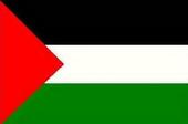 FREE PALESTINE profile picture