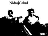 NidrajCalud profile picture