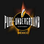 Pure Underground Ent. MÃ©xico profile picture