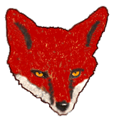 Leverton Fox profile picture