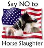 Save the horses profile picture