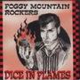 FOGGY MOUNTAIN ROCKERS profile picture