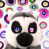 jose lemur profile picture