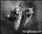 wolfheartportugal