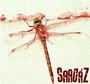 SaagÃ¡z profile picture