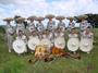 MARIACHI ORO DE MEXICO DE NOCHISTLAN profile picture