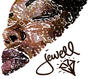 jewell / jelizen / frolab profile picture