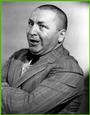 Curly Howard profile picture