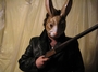 Easter Bunny, KILL! KILL! profile picture