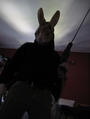 Easter Bunny, KILL! KILL! profile picture