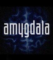 Amygdala profile picture