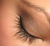 Eyelash Extensions by COR Cosmetics! profile picture