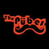 The PÃ¼bes profile picture