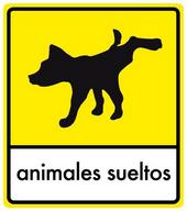 animales sueltos profile picture