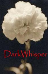 DarkWhisper profile picture