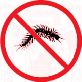 Stop it, Centipede! profile picture