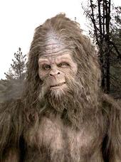 sasquatchalive