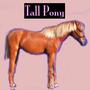 Tall Pony profile picture