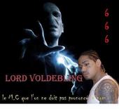 LORD VOLDEBLING profile picture