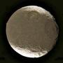 Iapetus profile picture