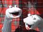 The Scottish Falsetto Sock Puppet Theatre profile picture