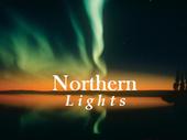 Northern Lights profile picture