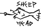 Sheephead profile picture