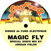 Risque De Funk Electrique profile picture