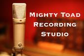 Mighty Toad Recording Studio profile picture