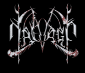 NALVAGE [searching for a new label!] profile picture