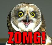 zomgowl