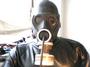 gasmask73 profile picture