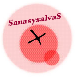 SanasysalvaS profile picture